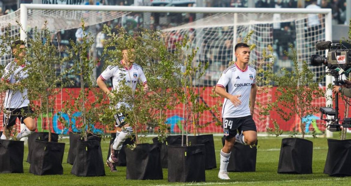 Un pasillo de árboles recibió a los jugadores: Colo Colo busca convertirse en el primer club carbono neutral