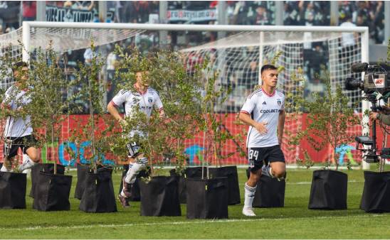 Un pasillo de árboles recibió a los jugadores: Colo Colo busca convertirse en el primer club carbono neutral